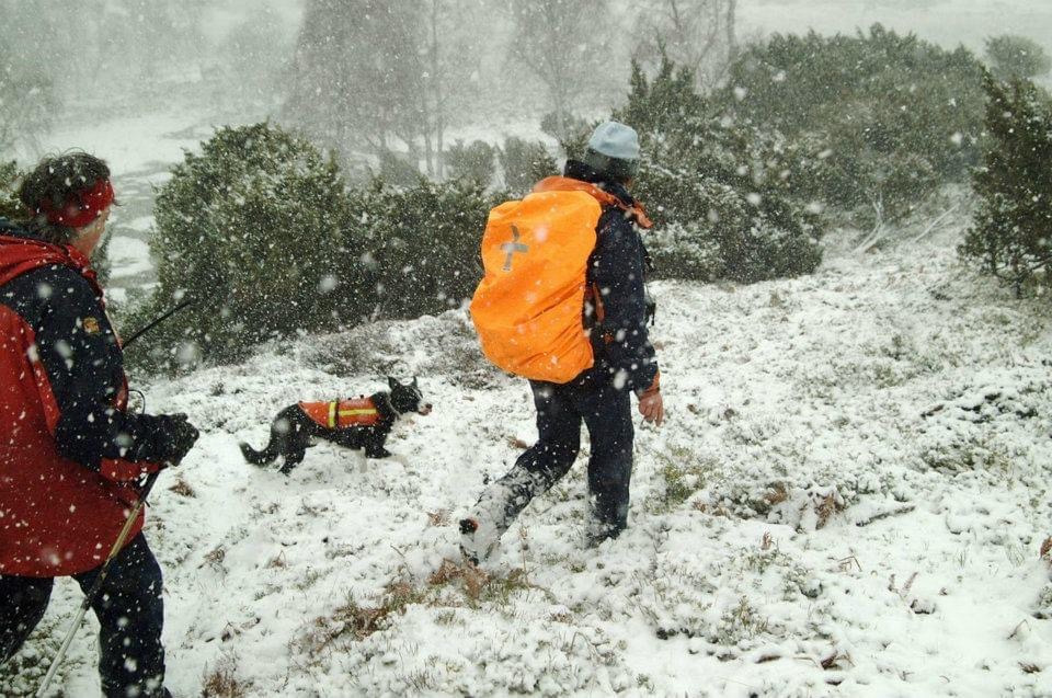 Search and rescue training with Skye in Scotland